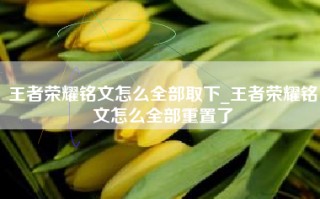 王者荣耀铭文怎么全部取下_王者荣耀铭文怎么全部重置了