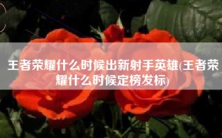 王者荣耀什么时候出新射手英雄(王者荣耀什么时候定榜发标)