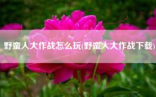 野蛮人大作战怎么玩(野蛮人大作战下载)