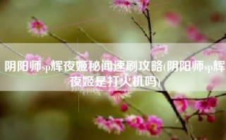 阴阳师sp辉夜姬秘闻速刷攻略(阴阳师sp辉夜姬是打火机吗)