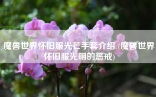 魔兽世界怀旧服光芒手套介绍 (魔兽世界怀旧服光明的惩戒)