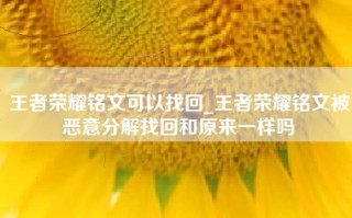 王者荣耀铭文可以找回_王者荣耀铭文被恶意分解找回和原来一样吗