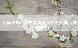 航海王燃烧意志雷利鹰眼谁更强(航海王燃烧意志)