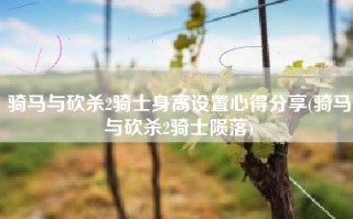 骑马与砍杀2骑士身高设置心得分享(骑马与砍杀2骑士陨落)