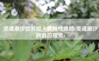 灵魂潮汐欧若拉人偶特性攻略(灵魂潮汐欧若拉蕴灵)