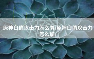 原神白值攻击力怎么算(原神白值攻击力怎么加)