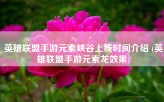 英雄联盟手游元素峡谷上线时间介绍 (英雄联盟手游元素龙效果)