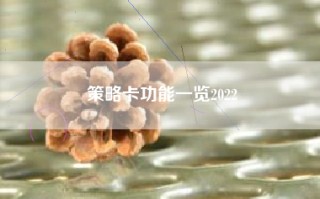 策略卡功能一览2022