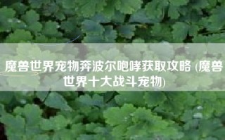 魔兽世界宠物奔波尔咆哮获取攻略 (魔兽世界十大战斗宠物)