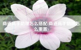 商道高手助理怎么搭配(商道高手助理怎么重置)