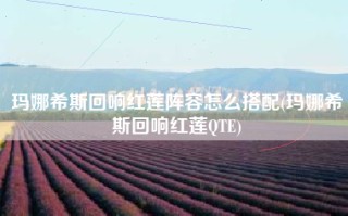 玛娜希斯回响红莲阵容怎么搭配(玛娜希斯回响红莲QTE)