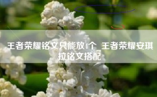 王者荣耀铭文只能放4个_王者荣耀安琪拉铭文搭配