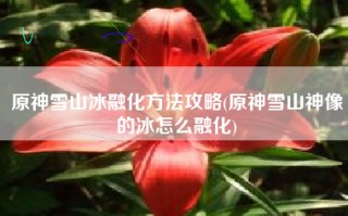 原神雪山冰融化方法攻略(原神雪山神像的冰怎么融化)
