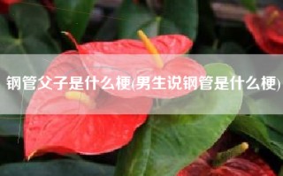 钢管父子是什么梗(男生说钢管是什么梗)
