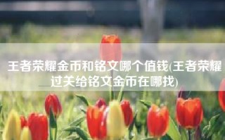 王者荣耀金币和铭文哪个值钱(王者荣耀过关给铭文金币在哪找)