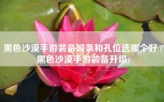 黑色沙漠手游装备词条和孔位选哪个好 (黑色沙漠手游装备升级)