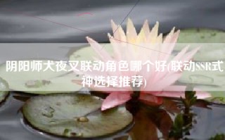 阴阳师犬夜叉联动角色哪个好(联动SSR式神选择推荐)