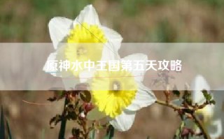 原神水中王国第五天攻略