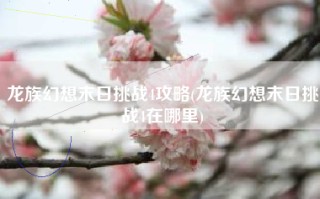 龙族幻想末日挑战4攻略(龙族幻想末日挑战4在哪里)