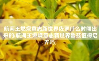 航海王燃烧意志新世界佐罗什么时候出来的(航海王燃烧意志新世界鲁兹值得培养吗)
