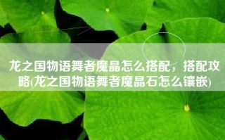 龙之国物语舞者魔晶怎么搭配，搭配攻略(龙之国物语舞者魔晶石怎么镶嵌)