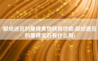 献给迷宫的墓碑食物获得攻略(献给迷宫的墓碑宝石有什么用)