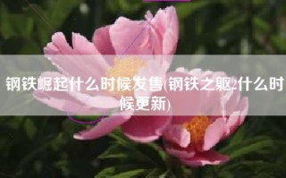 钢铁崛起什么时候发售(钢铁之躯2什么时候更新)