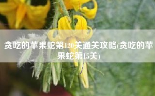 贪吃的苹果蛇第120关通关攻略(贪吃的苹果蛇第15关)