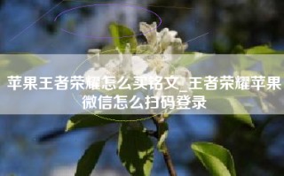 苹果王者荣耀怎么买铭文_王者荣耀苹果微信怎么扫码登录