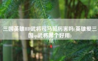三国英雄HD武将司马懿厉害吗(英雄爱三国sp武将哪个好用)