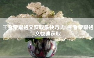 王者荣耀铭文获取最快方式_王者荣耀铭文快速获取