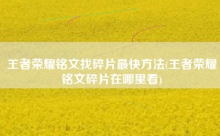 王者荣耀铭文找碎片最快方法(王者荣耀铭文碎片在哪里看)