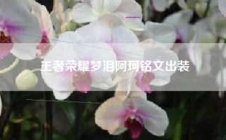 王者荣耀梦泪阿珂铭文出装