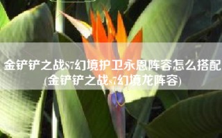 金铲铲之战S7幻境护卫永恩阵容怎么搭配(金铲铲之战s7幻境龙阵容)