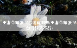 王者荣耀张飞台词有哪些(王者荣耀张飞台词战又不战)