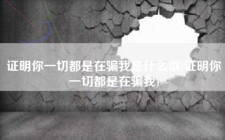 证明你一切都是在骗我是什么歌(证明你一切都是在骗我)
