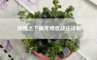 鸿图之下擒龙缚虎战法详解