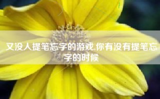 又没人提笔忘字的游戏,你有没有提笔忘字的时候