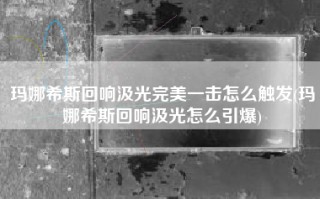 玛娜希斯回响汲光完美一击怎么触发(玛娜希斯回响汲光怎么引爆)