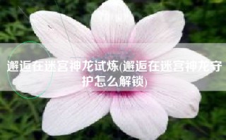 邂逅在迷宫神龙试炼(邂逅在迷宫神龙守护怎么解锁)