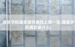 魂器学院魂器提供属性上限一览(魂器学院魂武是什么)