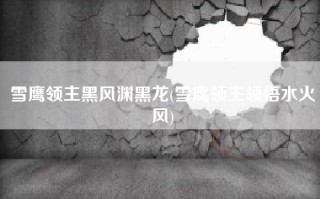 雪鹰领主黑风渊黑龙(雪鹰领主领悟水火风)