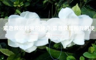 紧急救援和我的使命(紧急救援和我的使命)