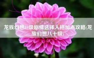 龙族幻想89级剧情选择人格加点攻略(龙族幻想八十级)