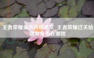 王者荣耀金币升级铭文_王者荣耀过关给铭文金币在哪找