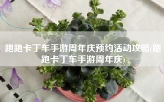 跑跑卡丁车手游周年庆预约活动攻略(跑跑卡丁车手游周年庆)