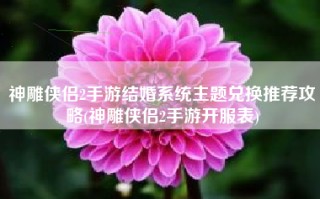 神雕侠侣2手游结婚系统主题兑换推荐攻略(神雕侠侣2手游开服表)