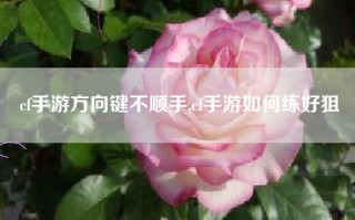 cf手游方向键不顺手,cf手游如何练好狙