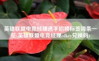 英雄联盟电竞经理选手招聘标签词条一览(英雄联盟电竞经理cdkey兑换码)