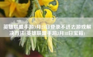 英雄联盟手游3月23日登录不进去游戏解决方法(英雄联盟手游3月18日宝箱)